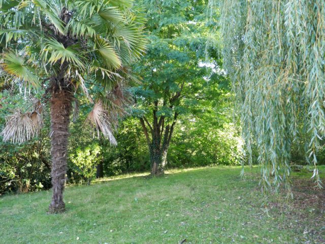 Maison Angers sud jardin E-BIS-IMMOBILIER