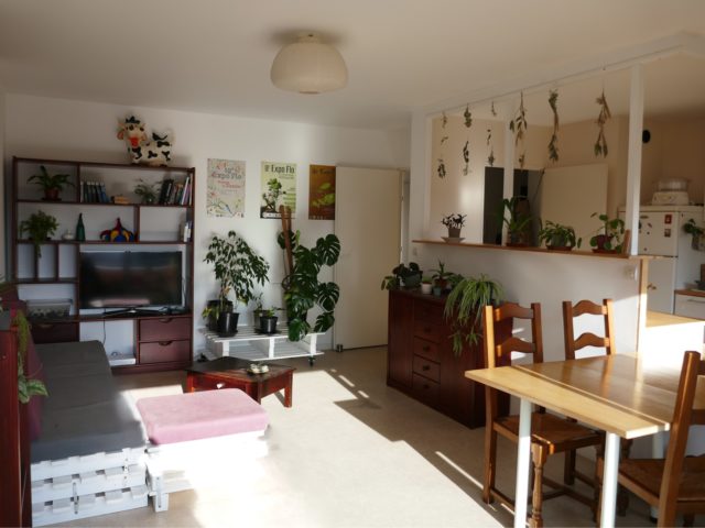 Salon-séjour Angers E-BIS-IMMOBILIER