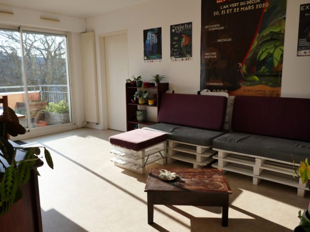 Salon-séjour Angers T4 E-BIS-IMMOBILIER