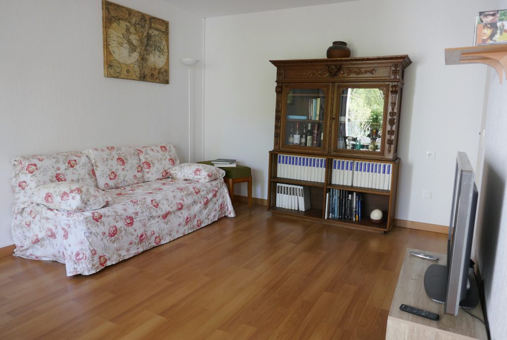 Appartement Angers T3 salon lumineux