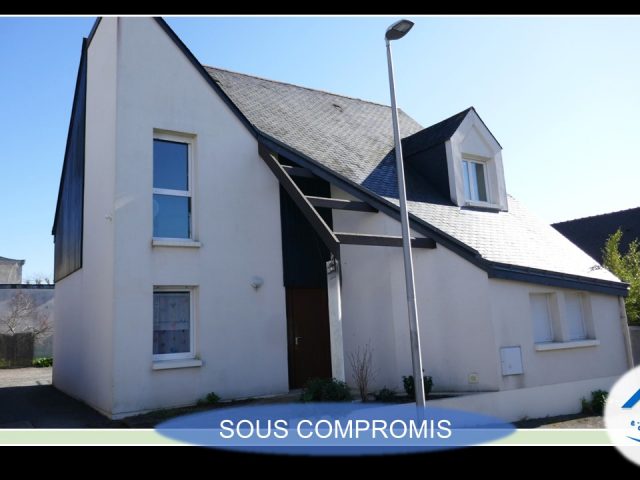 Immeuble St Gemmes sur Loire exclusivité E-BIS-IMMOBILIER